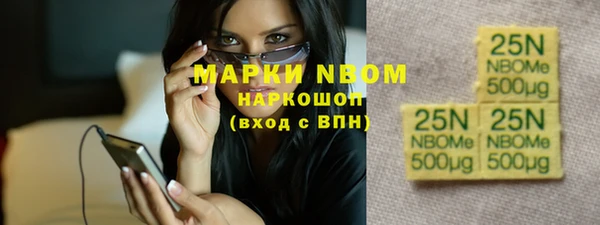 индика Балахна