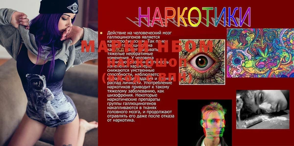 мдма Богданович