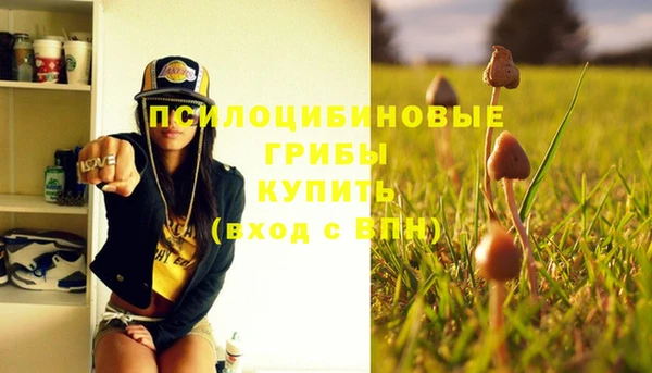 мдма Богданович