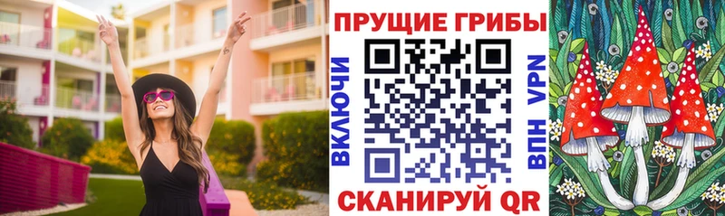 KRAKEN   Заполярный  Псилоцибиновые грибы ЛСД  мориарти Telegram  где продают наркотики 